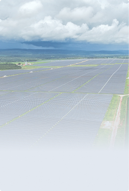 Projetos e Consultoria